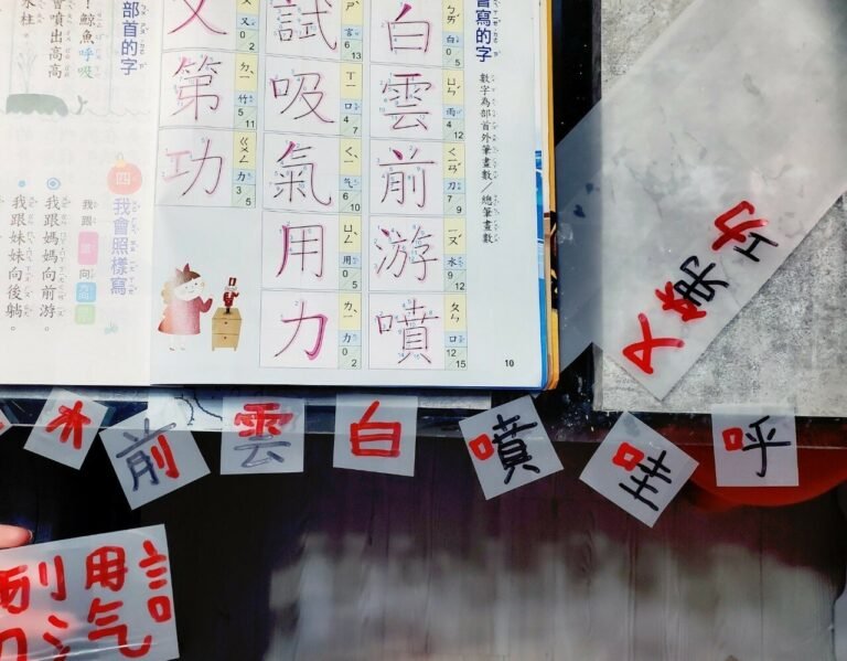 學習國字及筆順的方法